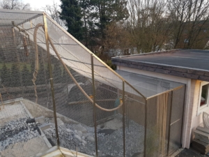 Aussenvoliere für Aras in einer Schräge