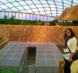 Auch hier beim Einrichten des größten Tropenhauses der Welt in Leipziger Zoo vor 12 Jahren