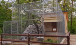 Außenvoliere in einem Tiergarten 3,80 m hoch